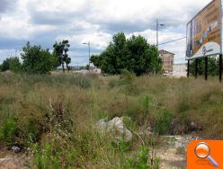 Andújar denuncia el estado de los solares de la zona de Tulell - (foto 2)