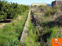 El alcalde dicta un bando recordando la obligatoriedad de mantener limpios los campos en cumplimiento de la Ordenanza del Medio Rural