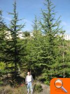 Terra Endins 2010,  homenaje a "Joan el dels cedres" - (foto 2)