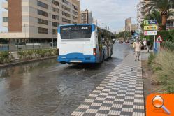 Benidorm registra 11 litros por metro cuadrado en tan sólo diez minutos - (foto 2)