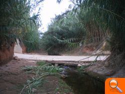 Monferrer: “Nules pretende desviar el barranco Joan de Mora al barranco de Betxí con la complicidad de Calpe” - (foto 2) Monferrer: “Nules pretende desviar el barranco Joan de Mora al barranco de Betxí con la complicidad de Calpe” - (foto 2)