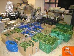 La Policía Nacional ha desarticulado una organización dedicada presuntamente al tráfico de sustancias estupefacientes - (foto 3) La Policía Nacional ha desarticulado una organización dedicada presuntamente al tráfico de sustancias estupefacientes - (foto 3)