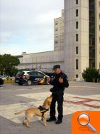 La Policía Nacional visita las Unidades Pediátricas del Hospital General de Alicante - (foto 2)