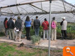 El curso de horticultura ecológica cuelga el cartel de completo