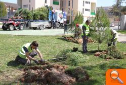 Red Eléctrica inicia la plantación de árboles en Más del Rosari para compensar las talas La Vallesa Red Eléctrica inicia la plantación de árboles en Más del Rosari para compensar las talas La Vallesa