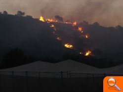 Un incendio en Sierra Escalona calcina 4 hectáreas de pino carrasco y zona protegida para las aves - (foto 6)