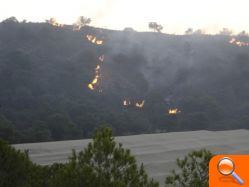 Un incendio en Sierra Escalona calcina 4 hectáreas de pino carrasco y zona protegida para las aves - (foto 5)