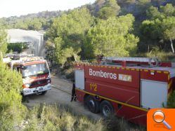 Un incendio en Sierra Escalona calcina 4 hectáreas de pino carrasco y zona protegida para las aves - (foto 3)