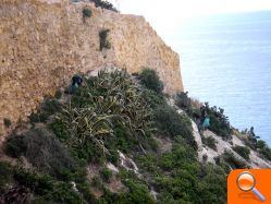 Playas retira 160 kilos de basura de los acantilados del Castillo