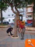 Arreglo del Parque Diagonal - (foto 2)