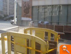 Una restructuración paisajística mejorará la plaza del Centro de Congresos - (foto 2)