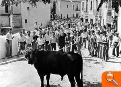 El Museu Valencià d’Etnologia exhibe la memoria fotográfica de La Costera en Moixent  - (foto 13)
