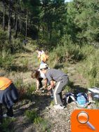 Infraestructuras y Obra Social “la Caixa” inician las actuaciones de restauración forestal en el Parc Natural de la Serra d’Espadà - (foto 2)