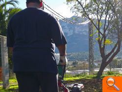 Creama-Dénia pone en marcha un taller de agricultura ecológica - (foto 2)