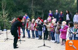 Torrent inaugura el primer Arboretum de la comarca para conmemorar el año internacional de los bosques  - (foto 4)
