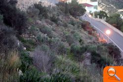 El Ayuntamiento solicitará a los Ministerios de Cultura y Fomento lo que corresponde a Benidorm con el objeto de restaurar y poner en valor el yacimiento del Tossal de La Cala - (foto 3)