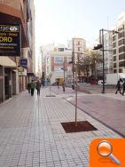 El PSPV cuestiona la sustitución de palmeras por árboles de baja calidad paisajística en el centro de Castellón - (foto 2)