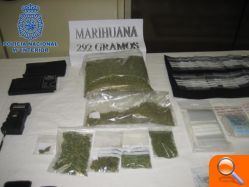 Desmantelado un punto de venta de, al parecer, marihuana en el distrito de Exposición - (foto 2)