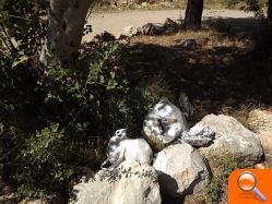 El PSPV denuncia la suciedad y la dejadez en el paraje de la Magdalena una semana después de las fiestas - (foto 2)