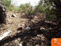El PSPV denuncia la suciedad y la dejadez en el paraje de la Magdalena una semana después de las fiestas - (foto 3)