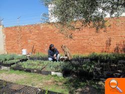 El Proyecto “Fem Bosc” realiza talleres con niños afectados de parálisis cerebral