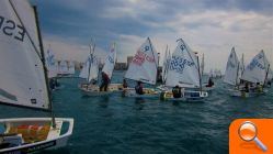 Buen viento y mejor organización en la Copa de España de Óptimist en el CN Alicante Costa Blanca - (foto 7)