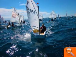 Buen viento y mejor organización en la Copa de España de Óptimist en el CN Alicante Costa Blanca - (foto 6)
