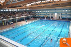 Un total de 800 niños participan en el Open de natación escolar en las piscinas del Monte Tossal - (foto 2)