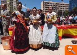 Almassora repartirá hoy más de 8.000 cazuelas de arroz en su Fiesta de Interés Turístico Provincial - (foto 2)