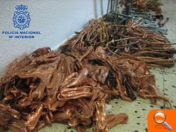 La Policía Nacional detiene a veintisiete personas  y se incauta de 900 kilos de cobre robado - (foto 6)