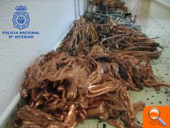 La Policía Nacional detiene a veintisiete personas  y se incauta de 900 kilos de cobre robado - (foto 5)