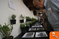 Pinazo y Eduard Marco protagonistas en la ‘IV Nit dels Palmitos Blancs’ - (foto 2)