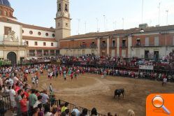 Inmejorable ambiente para la tercera jornada de bous al carrer de las fiestas patronales de Nules - (foto 2)