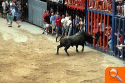 Inmejorable ambiente para la tercera jornada de bous al carrer de las fiestas patronales de Nules - (foto 4)