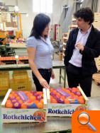 Betxí inicia una ronda de contactos con cooperativas y comercios citrícolas locales para respaldar al sector ante el inicio de la campaña - (foto 2)