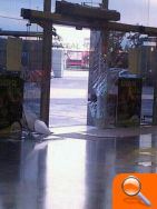 Cuatro ladrones encapuchados asaltan una joyería de la Salera - (foto 3) Cuatro ladrones encapuchados asaltan una joyería de la Salera - (foto 3)