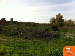 El Consell y la Caixa crean más de 20 puestos de trabajo para la restauración ambiental del Parque del Turia