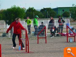 Eva Grau, del Esportiu Agility Almussafes, clasificada para participar en el primer Campeonato Europeo