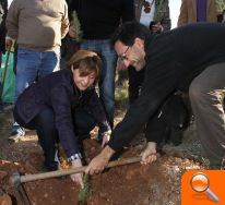 Más de 300.000 árboles se plantarán en la Comunitat con motivo del Día del Árbol - (foto 2)