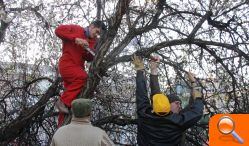 Torrent celebra l’Entrà de la Flor - (foto 4)