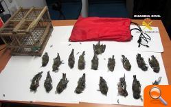 La Guardia Civil ha imputado a una persona  por  un  supuesto  delito  contra  la  fauna  y  flora  - (foto 2)