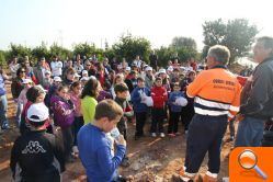 170 personas participa en la celebración del Día del Árbol plantando 65 naranjos 