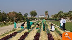Los alumnos de la Escuela de Capataces creen en la agricultura como una salida de la crisis  - (foto 4)