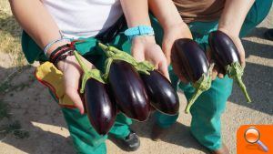 Los alumnos de la Escuela de Capataces creen en la agricultura como una salida de la crisis  - (foto 3)