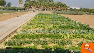Los alumnos de la Escuela de Capataces creen en la agricultura como una salida de la crisis  - (foto 2)