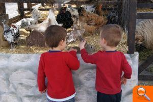 Cerca de 200 alumnos de las escuelas municipales infantiles conocen de cerca a animales de granja - (foto 2)