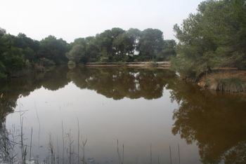Propuesta de inclusión del parque natural de l’Albufera de Valencia como reserva de la biosfera por la Unesco