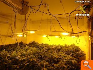 La Guardia Civil desmantela dos laboratorios clandestinos de marihuana en una operación contra el tráfico de drogas - (foto 2)