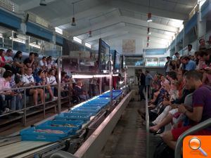 El blogtrip #Calpemocion genera para Calp como destino turístico un impacto en Internet sin precedentes en España - (foto 2)