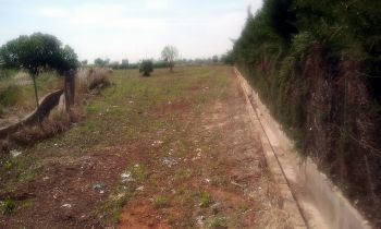 Alaquàs posarà en marxa un total de 63 parcel•les per a horts urbans